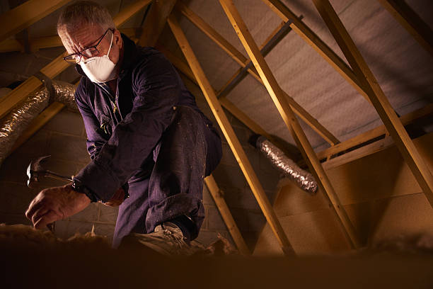 Best Residential Insulation in Ambler, PA